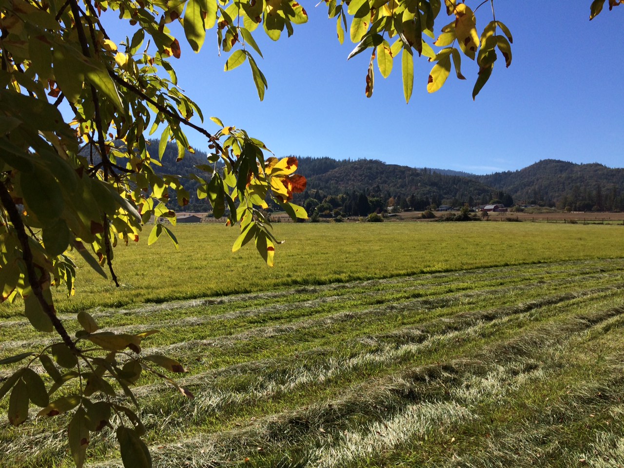 Windrow Ranch in beautiful Rogue Valley of Southern Oregon